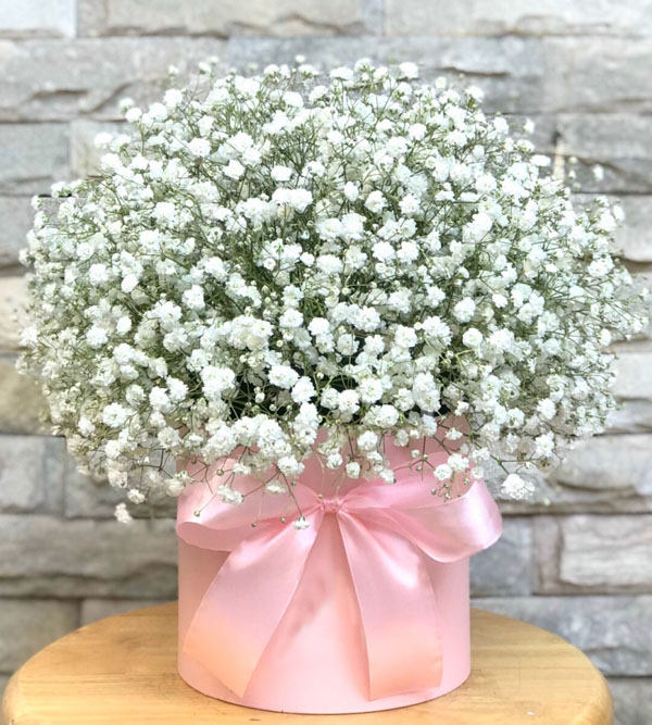 Hộp hoa baby trắng cực xinh