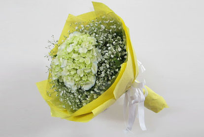 bó hoa cẩm tú cầu tặng mẹ
