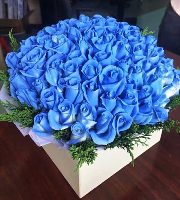 Hoa hồng xanh nhân tạo