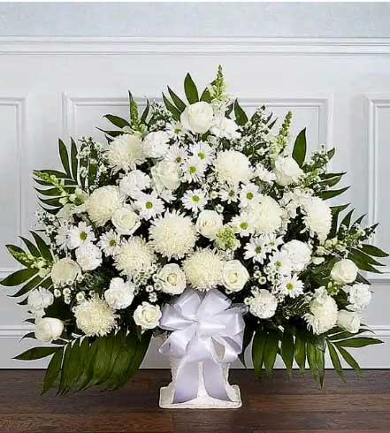 Hộp hoa cúc trắng đặt bàn thờ đám tang