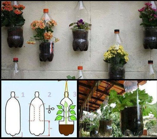 Bố trí chậu hoa bằng chai nhựa trong sân vườn hợp lý