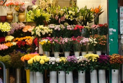 Hoa bỏ sỉ giá tốt tại Dat Viet Flowers