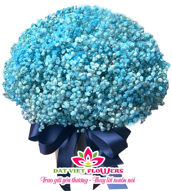 Hộp Hoa Baby Xanh - Amazing